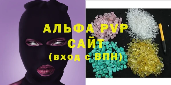 стаф Коряжма
