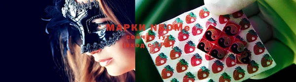 стаф Коряжма