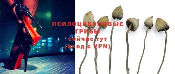 стаф Коряжма