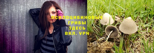 стаф Коряжма