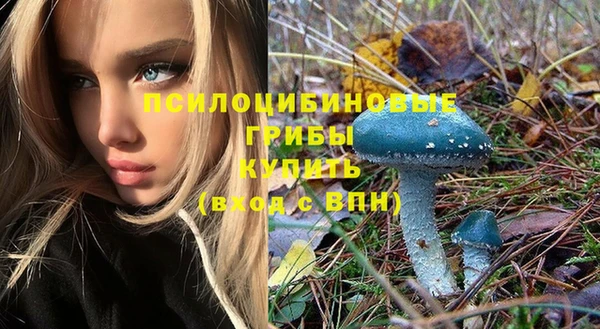 кокс Костерёво