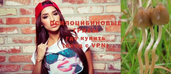 кокс Костерёво
