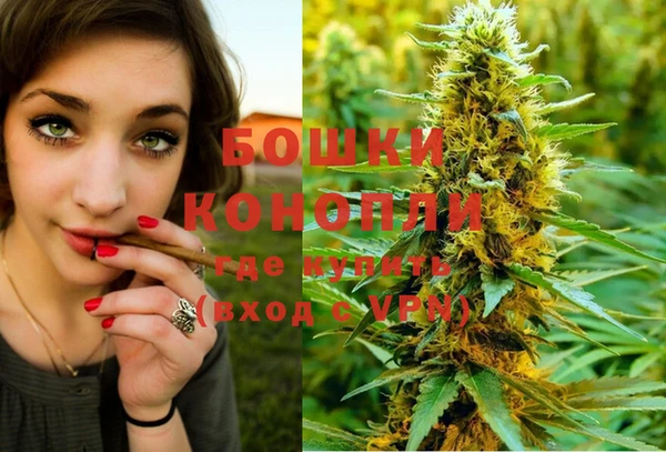 стаф Коряжма